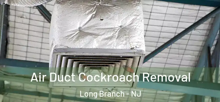 Air Duct Cockroach Removal Long Branch - NJ