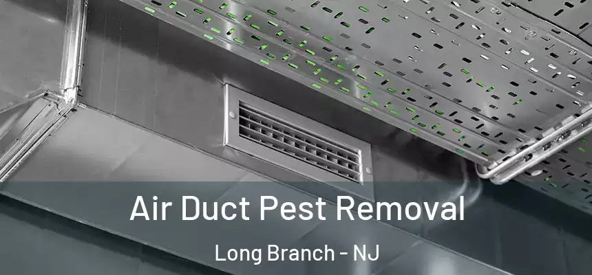  Air Duct Pest Removal Long Branch - NJ