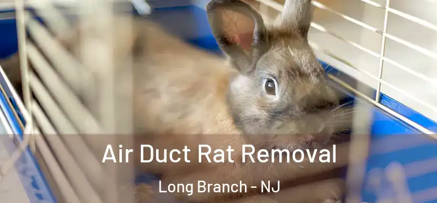 Air Duct Rat Removal Long Branch - NJ