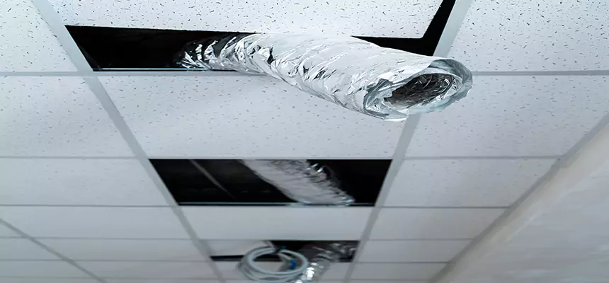 Affordable HVAC Sanitizing After Pest Removal in Long Branch