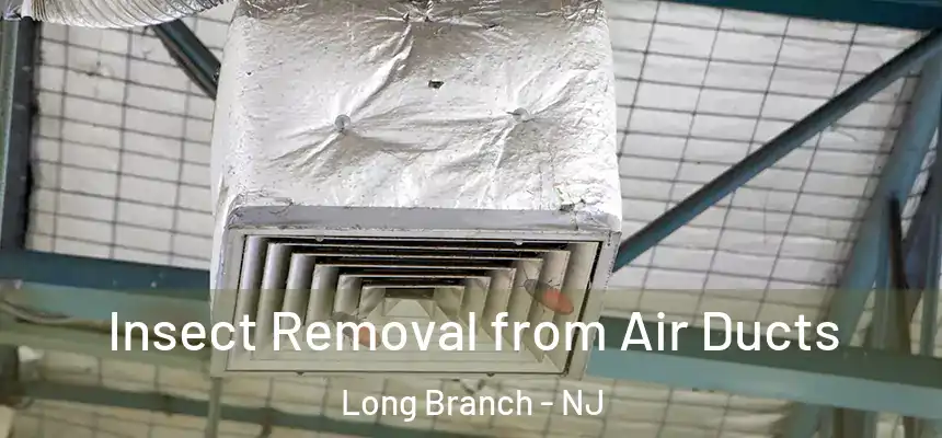 Insect Removal from Air Ducts Long Branch - NJ