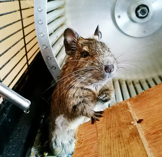 Why Homeowners & Businesses Trust Us Long Branch, NJ