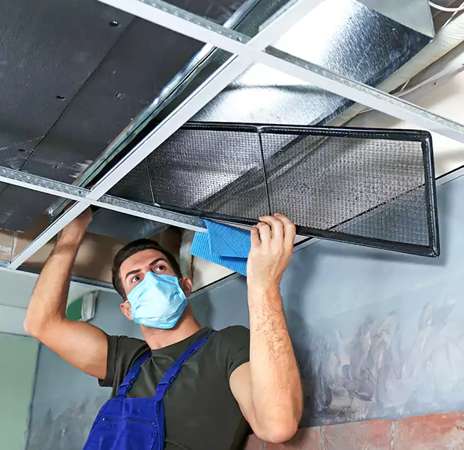 Why Homeowners Businesses Trust Us in Long Branch, NJ