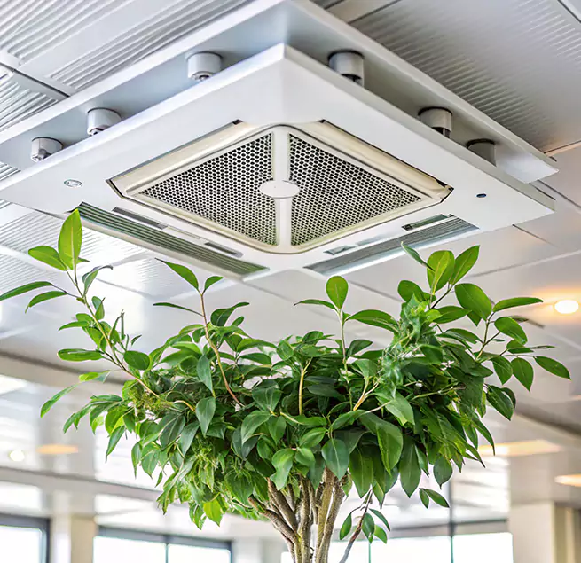 Why Homeowners & Businesses Trust Us in Long Branch, NJ