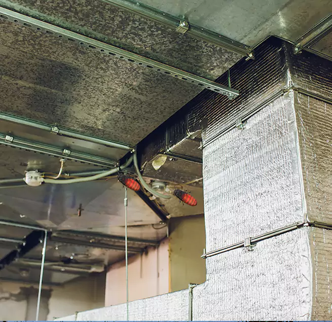 Why Homeowners & Businesses Trust Us Long Branch, NJ?